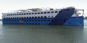 WhatsApp Image 2025 03 02 at 4.32.17 PM