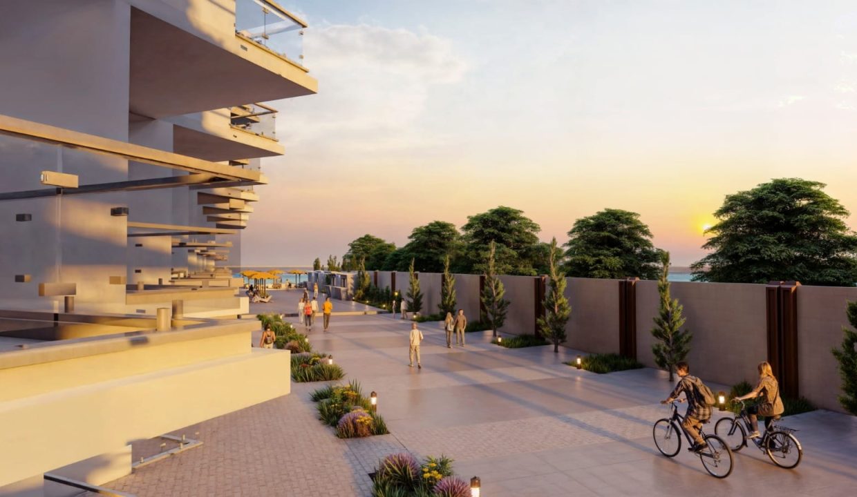 WhatsApp Image 2025-03-09 at 4.58.09 PM (3)