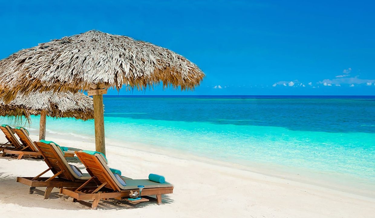 WhatsApp Image 2025-03-09 at 4.58.10 PM (1)