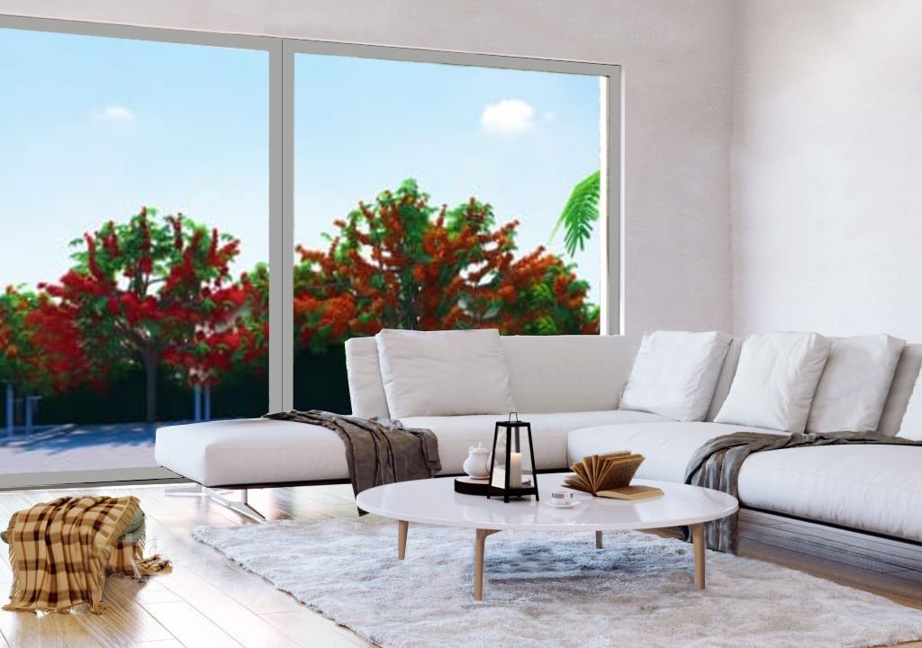 WhatsApp Image 2025-03-09 at 4.58.11 PM (2)