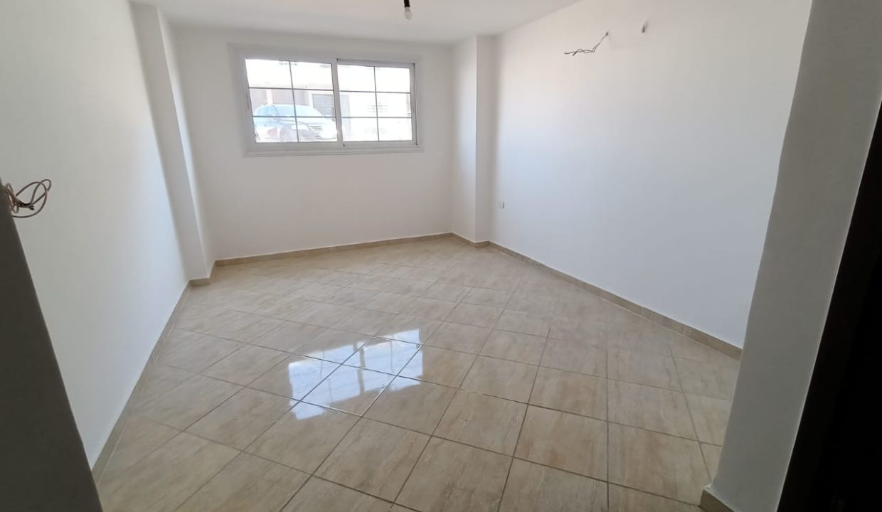 WhatsApp Image 2025-03-10 at 4.31.44 PM (3)