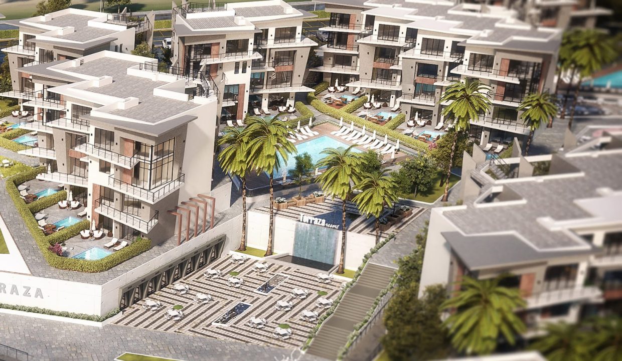 WhatsApp Image 2025-03-10 at 5.01.49 PM (1)