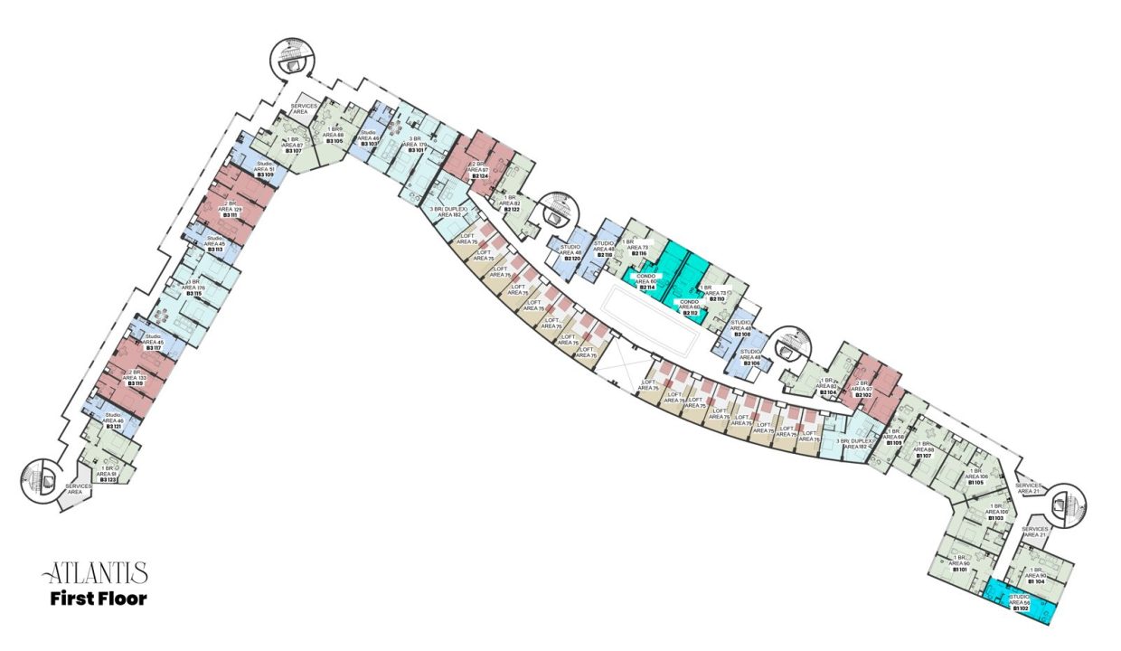 WhatsApp Image 2025-03-10 at 5.32.53 AM