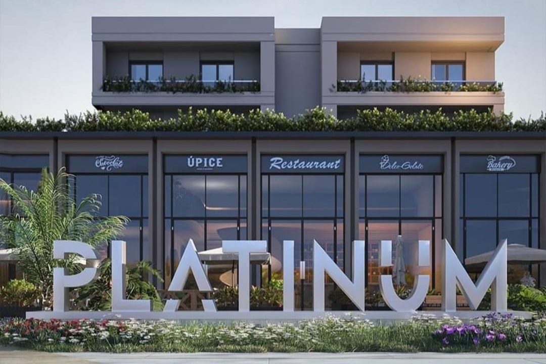 WhatsApp Image 2025-03-11 at 11.56.24 PM