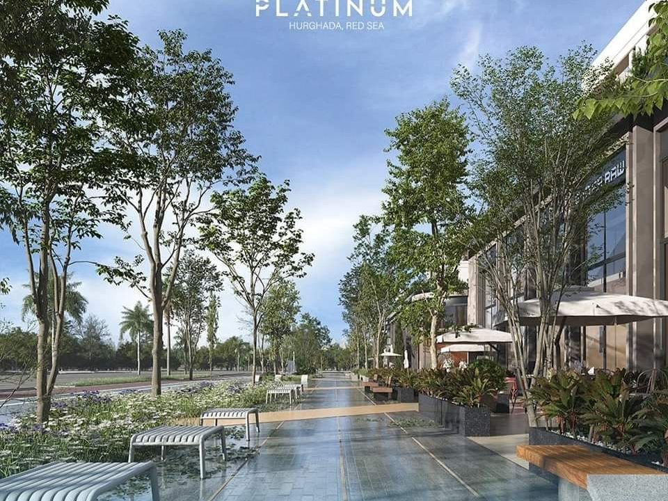 WhatsApp Image 2025-03-11 at 11.56.24 PM (2)